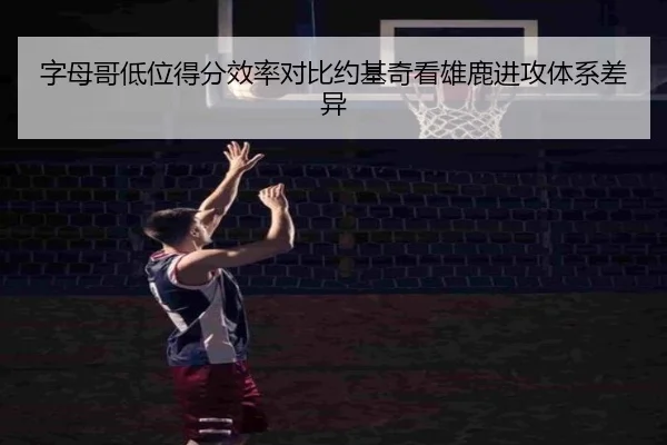 字母哥低位得分效率对比约基奇看雄鹿进攻体系差异